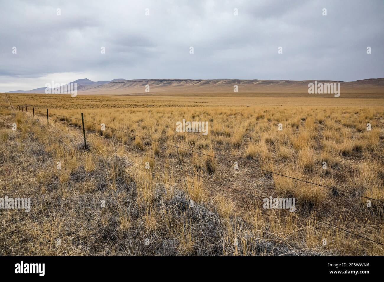 Landschaft im Südosten von Oregon an einem regnerischen Tag im Oktober. USA. Stockfoto