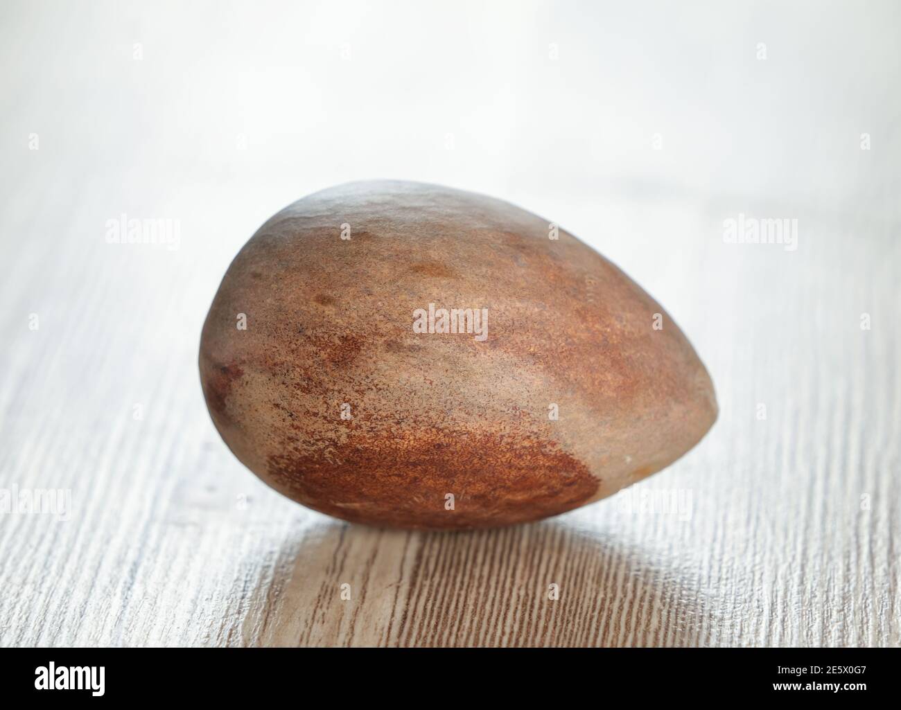 Eine runde braune Avocado-Grube auf Holzgrund. Makroaufnahme. Stockfoto