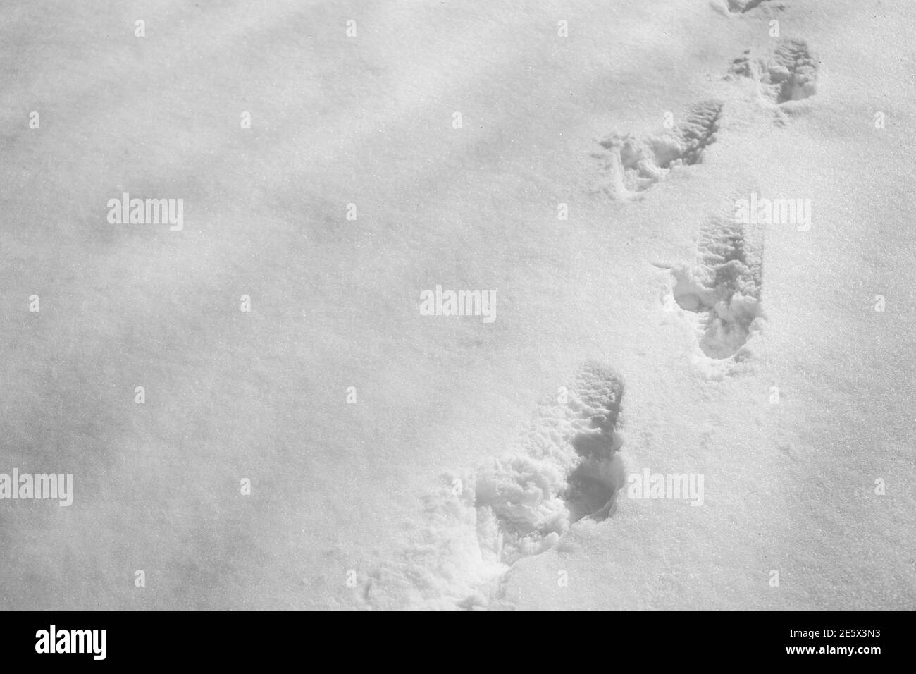 Fußabdrücke auf dem Schneefeld Stockfoto