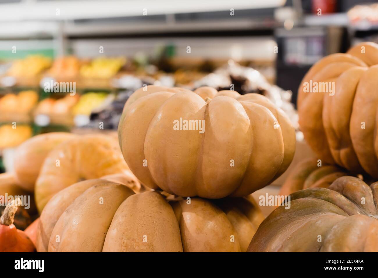 Nahaufnahme von Bio-Squashes im Supermarkt Stockfoto