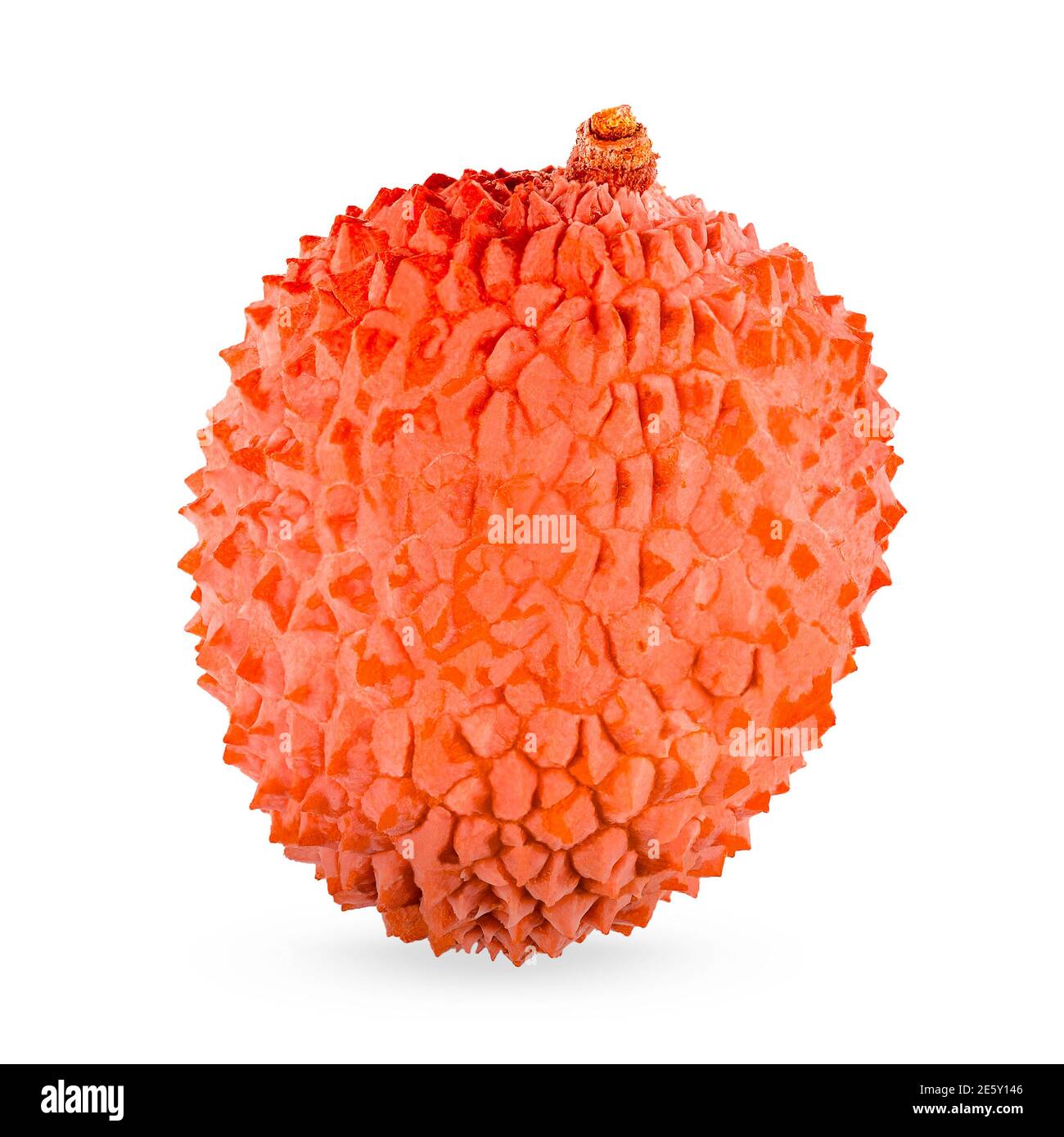 Ganze Litchi isoliert auf dem weißen mit Schatten Stockfoto