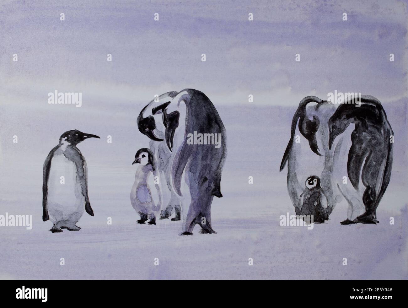 Pinguin aquarell Fotos und Bildmaterial in hoher Auflösung Alamy