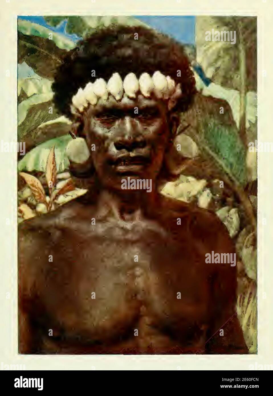 Norman Hardy Porträt von Soloman Island Kannibal Stockfoto