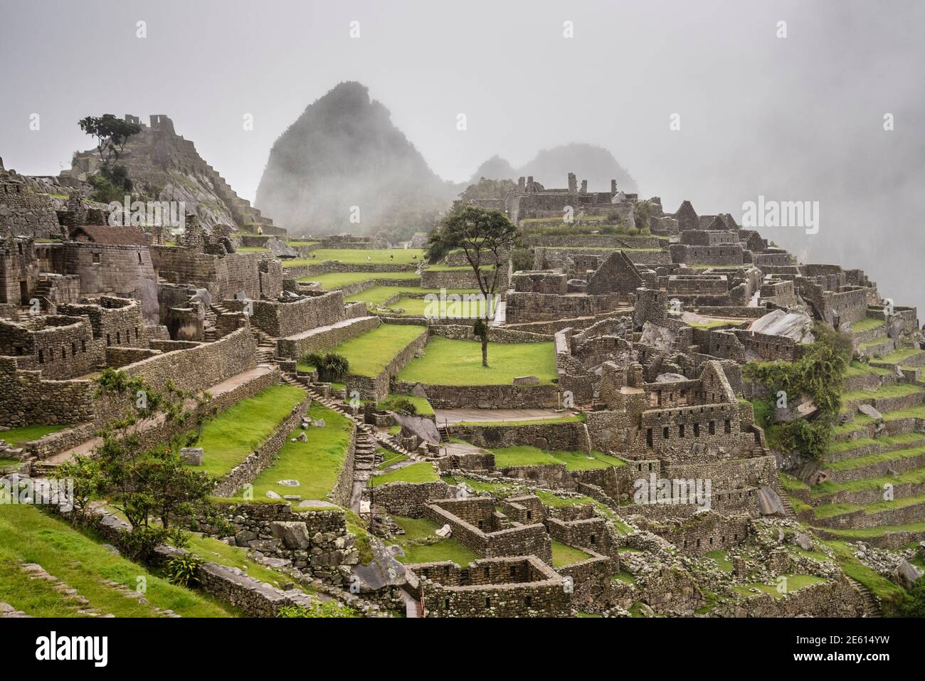 Inka-Ruinen in Machu Picchu, Peru an einem nebligen, nebligen Tag. Stockfoto