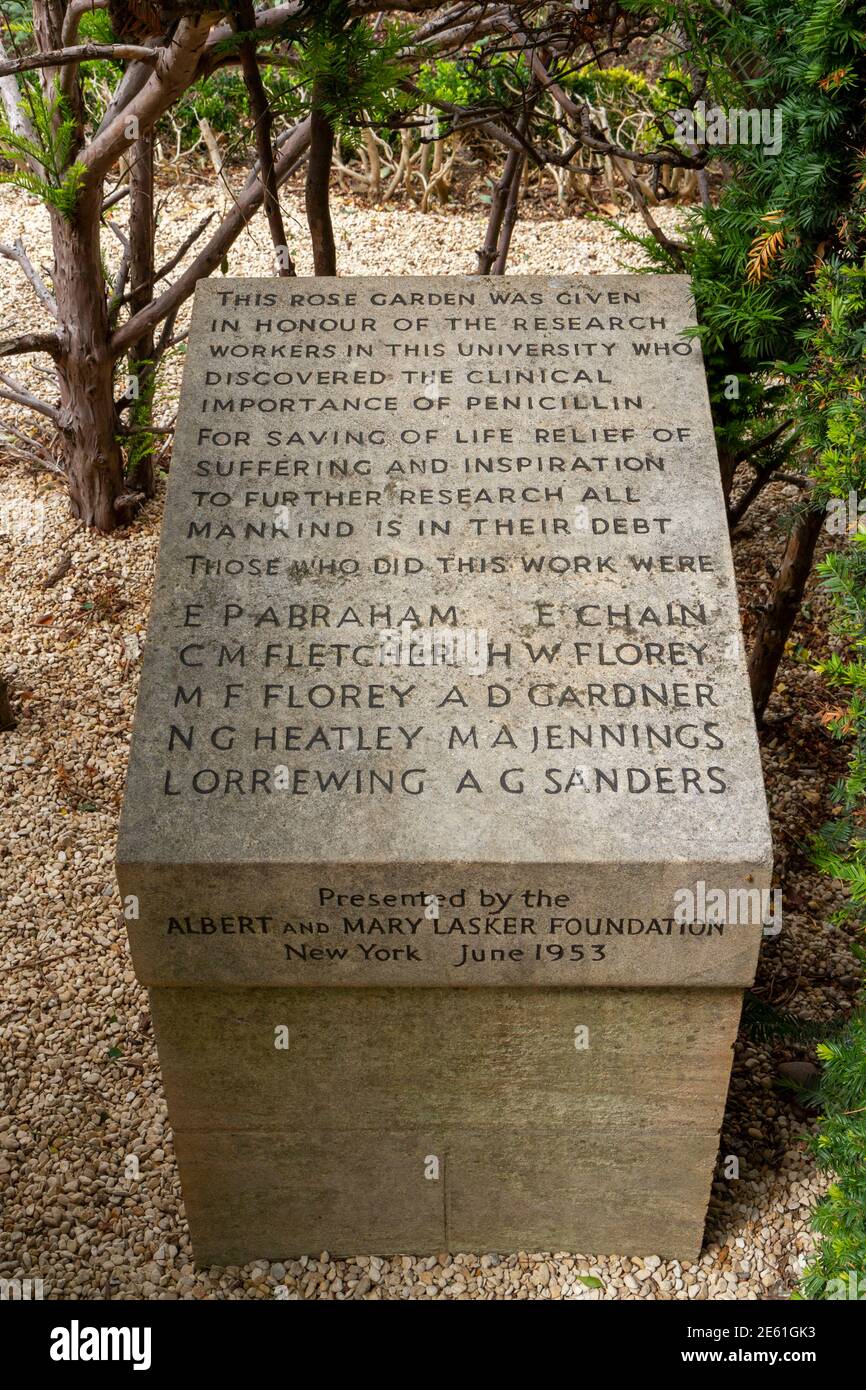 Das Steinblock-Denkmal im Rosengarten des Oxford Botanic Garden feiert die Entdeckung von Penicillin, Oxford, Oxfordshire, Großbritannien. Stockfoto