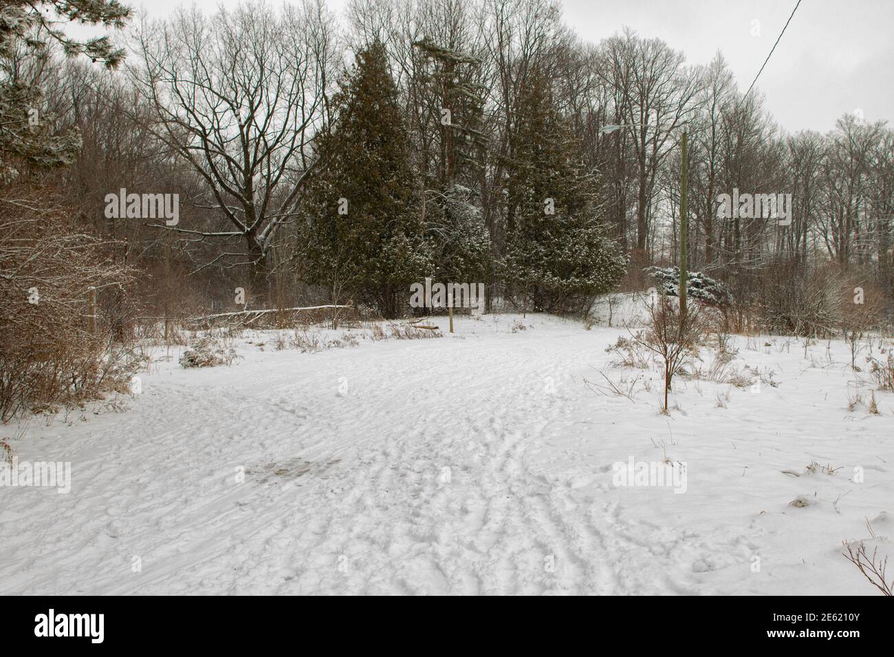 Winter Surrealismus Landschaftsfotografie in London Kanada . Hochwertige Fotos Stockfoto