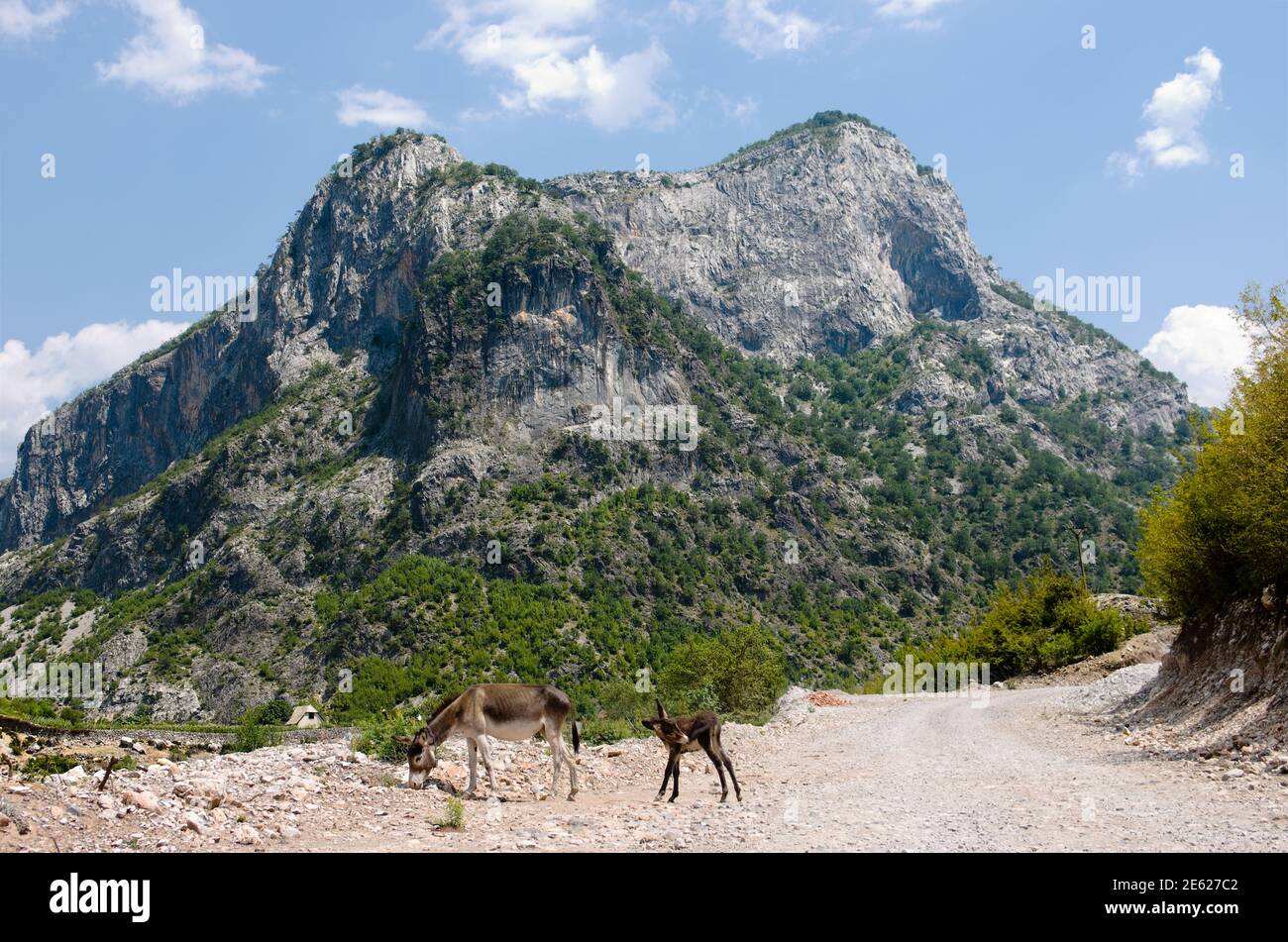 Eine unbefestigte Straße geht es entlang Kelmend Tal zwischen albanisch Berge Stockfoto