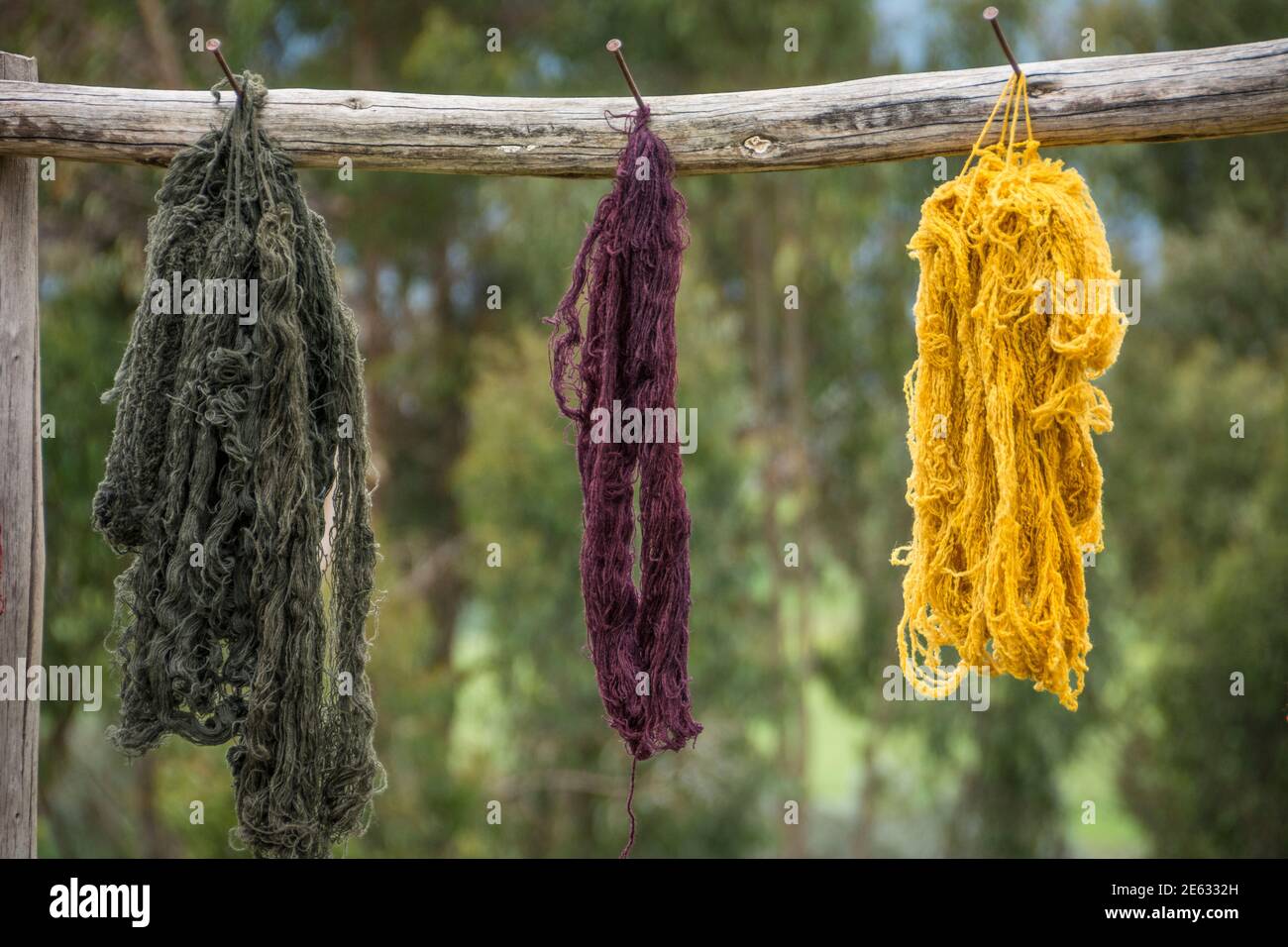 Natürlich gefärbtes Alpaka-Garn zum Weben von Tuch, das zum Trocknen hängt; Misminay Village, Heiliges Tal, Peru. Stockfoto