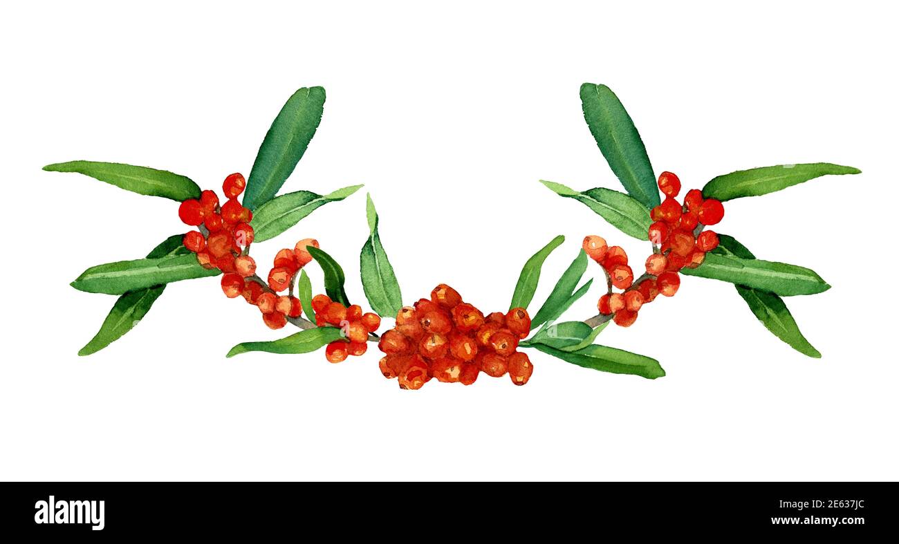 Aquarell Sanddornzweig mit Blättern und Beeren isoliert auf weißem Hintergrund. Orange Beere Zusammensetzung bereit zu verwenden. Design für Abdeckungen, Etiketten, Stockfoto