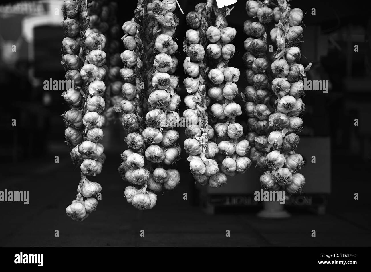 Büschen von Knoblauchzwiebeln hängen auf dem lokalen Markt in Schwarz und Weiß Stockfoto