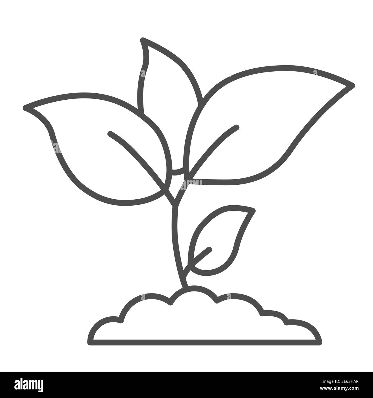 Pflanze Sprossen dünne Linie Symbol, Landwirtschaft Konzept, Junges Wachstum mit Blättern Zeichen auf weißem Hintergrund, Sämling Symbol in Umriss Stil für mobile Stock Vektor