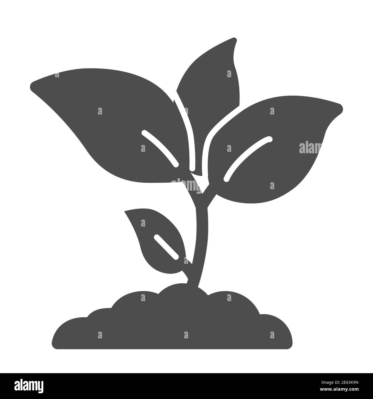 Pflanze Sprossen solide Ikone, Landwirtschaft Konzept, Junges Wachstum mit Blättern Zeichen auf weißem Hintergrund, Sämling Symbol in Glyph-Stil für mobile Konzept und Stock Vektor