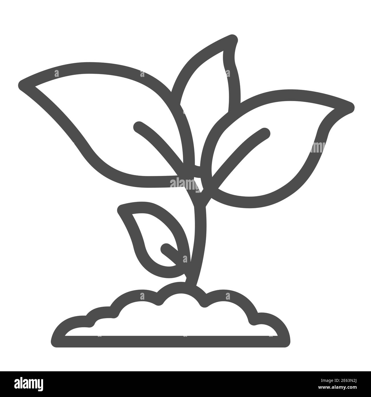 Pflanze Sprossen Linie Symbol, Landwirtschaft Konzept, Junges Wachstum mit Blättern Zeichen auf weißem Hintergrund, Sämling Symbol in Umriss-Stil für mobile Konzept und Stock Vektor