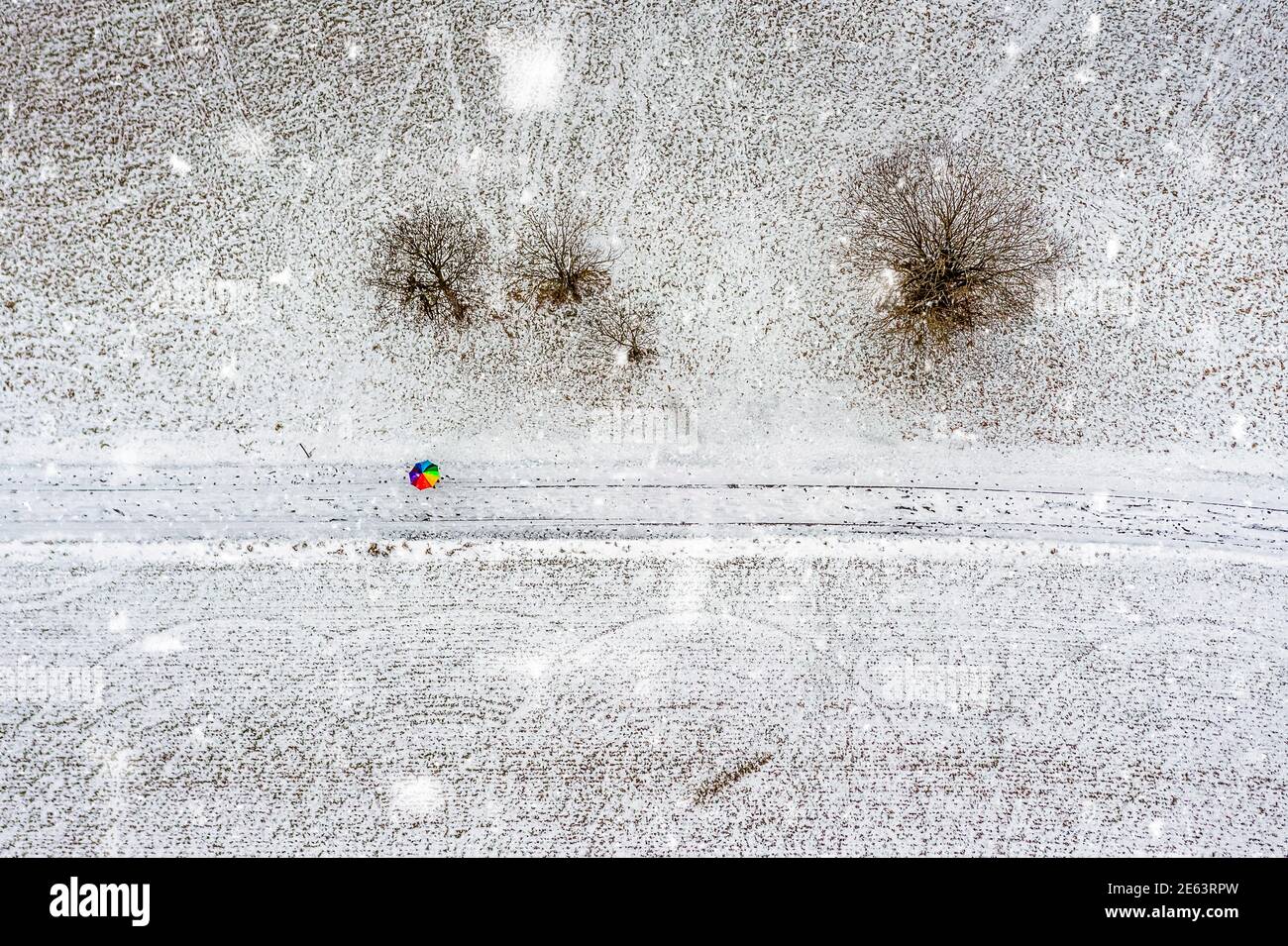 Luftaufnahme von oben nach unten auf einem bunten Regenbogenschirm in der Mitte einer schneebedeckten Landschaft bei Schneefall und einigen Bäumen direkt von oben. Stockfoto