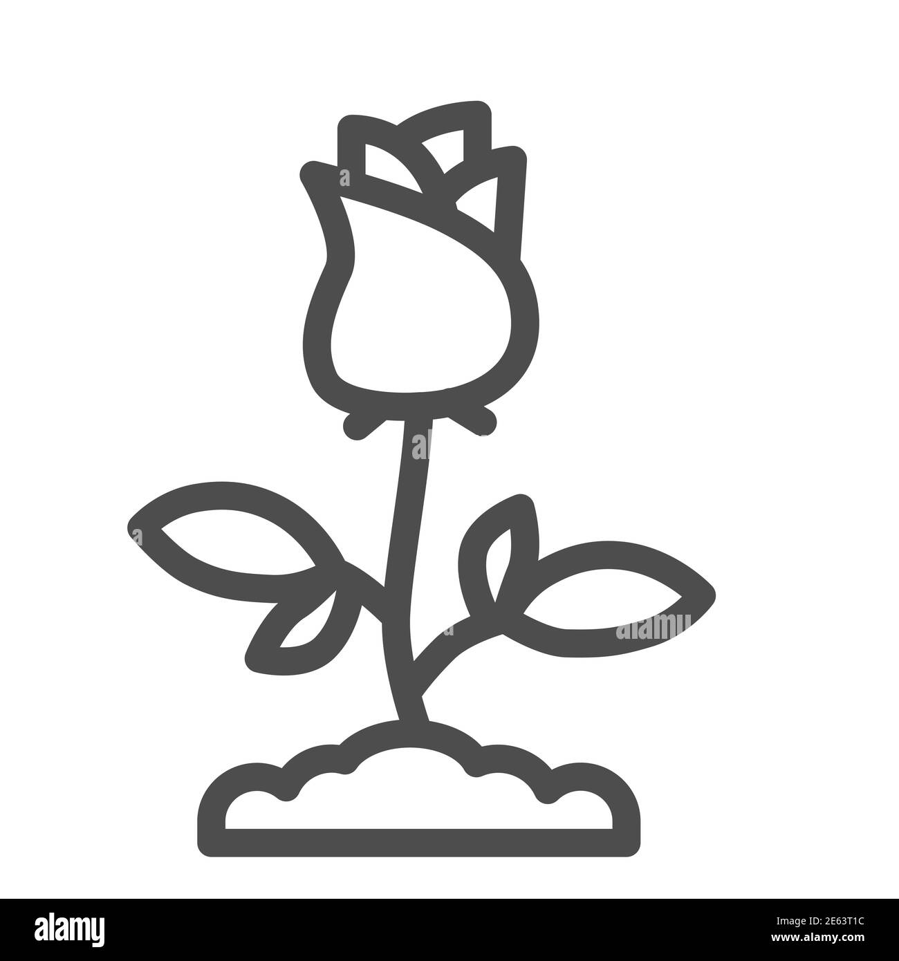 Rose Linie Symbol, Floral Konzept, Rosenblüte mit Blättern Zeichen auf  weißem Hintergrund, Single Rose Blume Symbol in Outline-Stil für mobile  Konzept und Web Stock-Vektorgrafik - Alamy