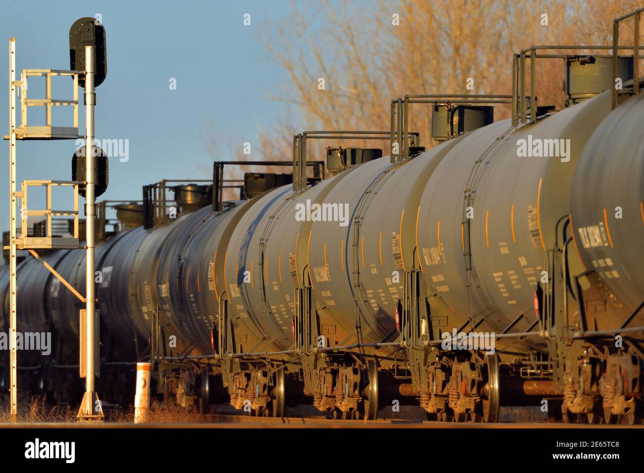 Bartlett, Illinois, USA. Ein kanadischer nationaler Ölzug, der nach Norden fährt und über eine Kreuzung fährt, die durch Signale in alle Richtungen geschützt ist. Stockfoto