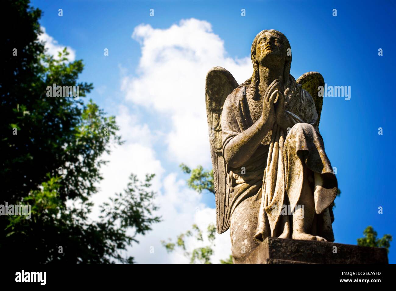 Statue Stockfoto Statue Stockfoto