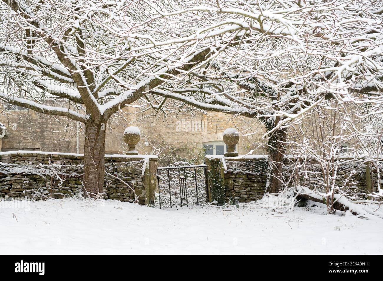 Kirschbäume, Steinmauer und Tor vor einem cotswold Steinhaus in Swinbrook im Schnee. Swinbrook, Cotswolds, Oxfordshire, England Stockfoto