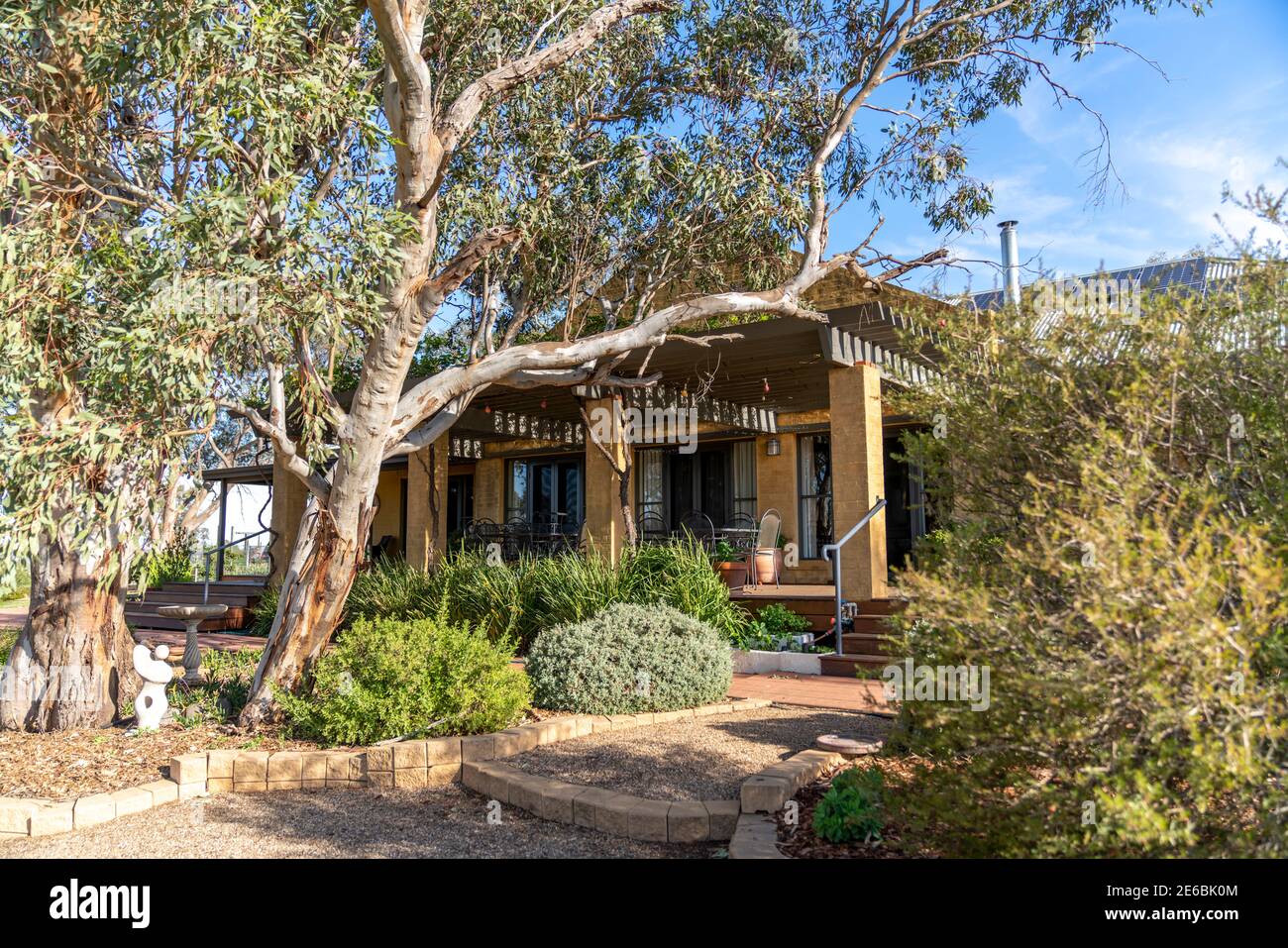 Landschaftlich gestalteter australischer Pflanzengarten umgibt ein modernes Landhaus. Stockfoto