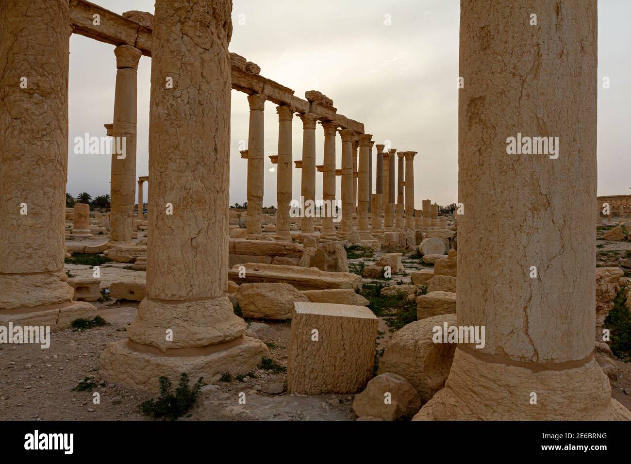 Die Sonne geht zwischen den Steinsäulen der antiken Ruinen in Palmyra, Syrien, auf. Bild aufgenommen bei Sonnenaufgang mit der Landschaftsansicht von Säulen und Säulen EIN Brunnen Stockfoto