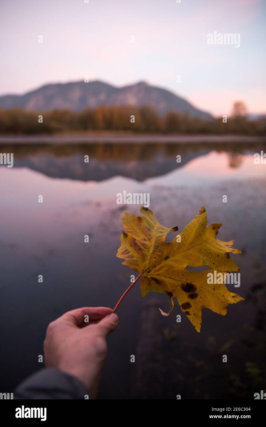 Letztes Herbstblatt und die almspiegelung des Berges Si im Borst Pond bei Snoqualmie, WA. Anblick der berühmten Twin Peaks Serie von David Lynch. Stockfoto