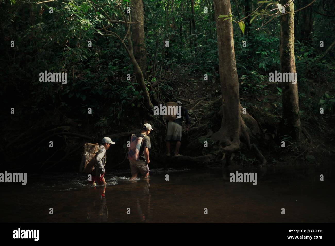Männer, die einen Bach überqueren, während sie einen Auftrag tragen, einen Bach und ein Reservoir zu erreichen und zu reinigen, das als Hauptwasserquelle für die traditionelle Gemeinschaft im Dayak Longhouse von Sungai Utik in der Kapuas Hulu Regentschaft, Provinz West Kalimantan, Indonesien, genutzt wird. Stockfoto