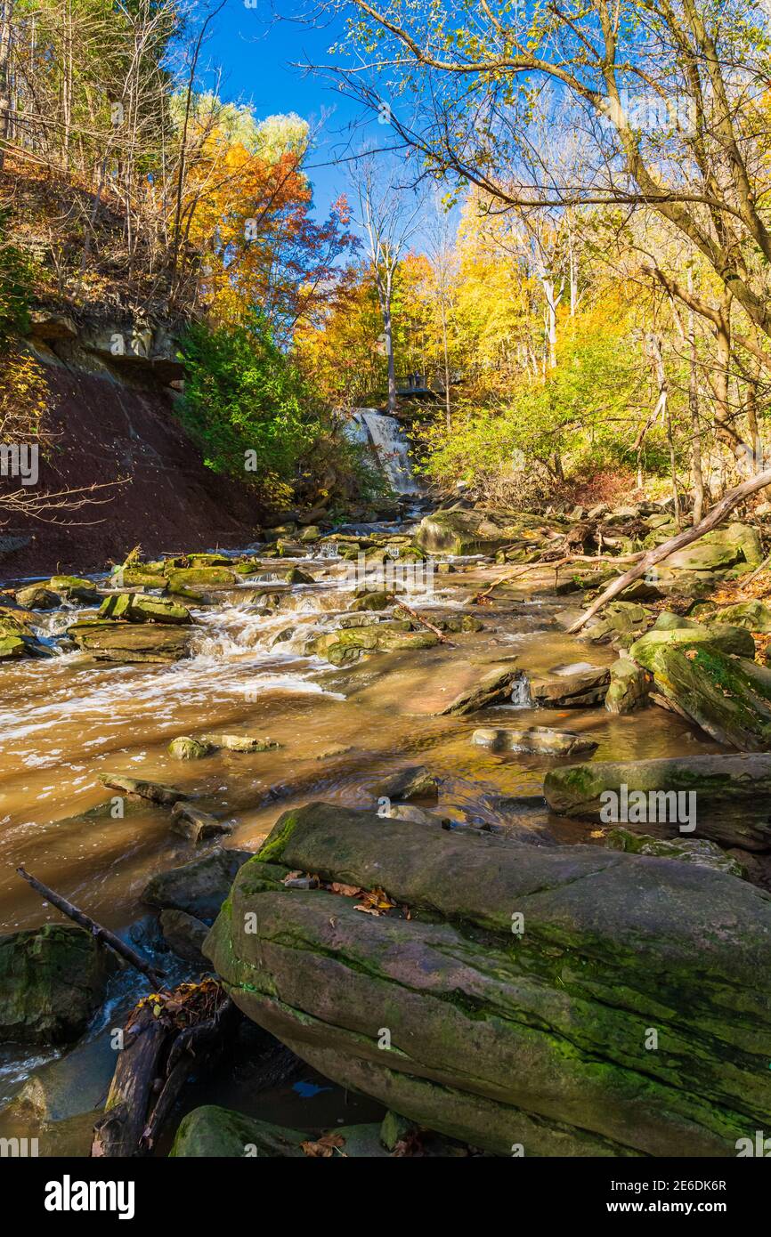 Smokey Hollow Conservation Area Grindstone Falls Waterdown Ontario Kanada in Herbst Stockfoto