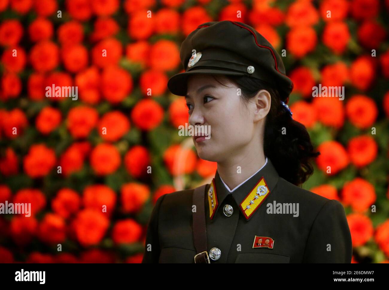 Kimjongilia Stockfotos Und Bilder Kaufen Alamy