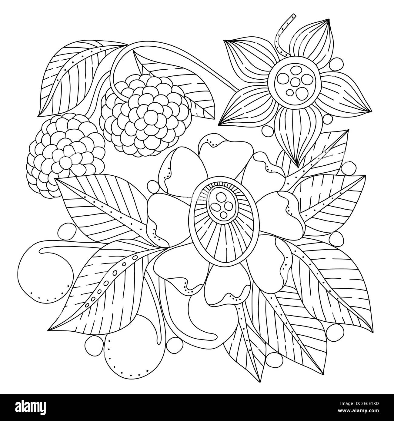 Blumenstrauß, Beeren und Blätter, Malbuch-Seite für Erwachsene, handgezeichnetes Flopalornament in schwarz und weiß. Vektorgrafik. Zendoodle Stock Vektor