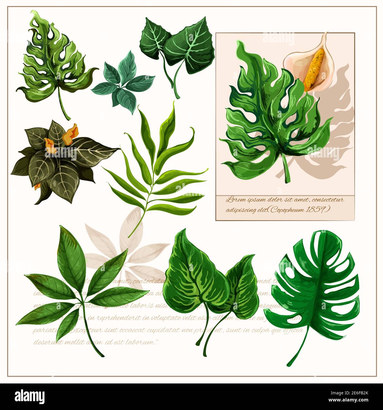Exotische tropische Regenwald Pflanzen opulent grünen Blätter Piktogramme Sammlung mit Wasserfarbe Skizze Symbol abstrakte isolierte Vektor-Illustration Stock Vektor