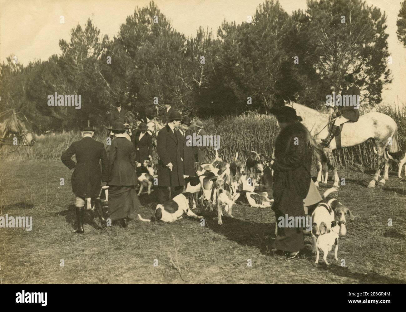 Gruppe auf Menschen, Pferde und Hundepaket bereit für die Fuchsjagd, Italien 1900s Stockfoto