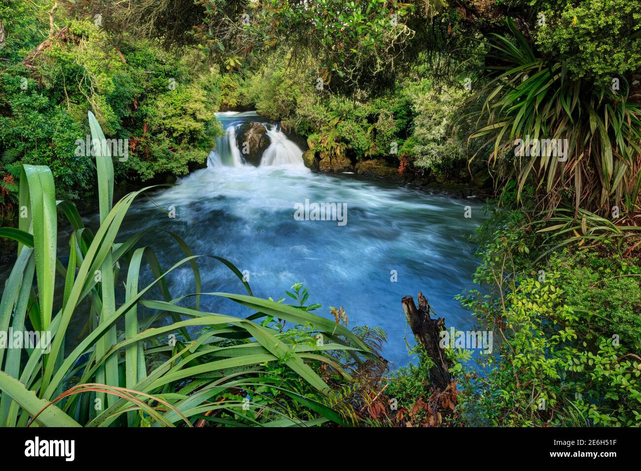 Okere Falls in der Rotorua Region, Neuseeland. Einer der vielen Wasserfälle der Gegend, der in einen Pool stürzt, der von einheimischen Wäldern umgeben ist Stockfoto