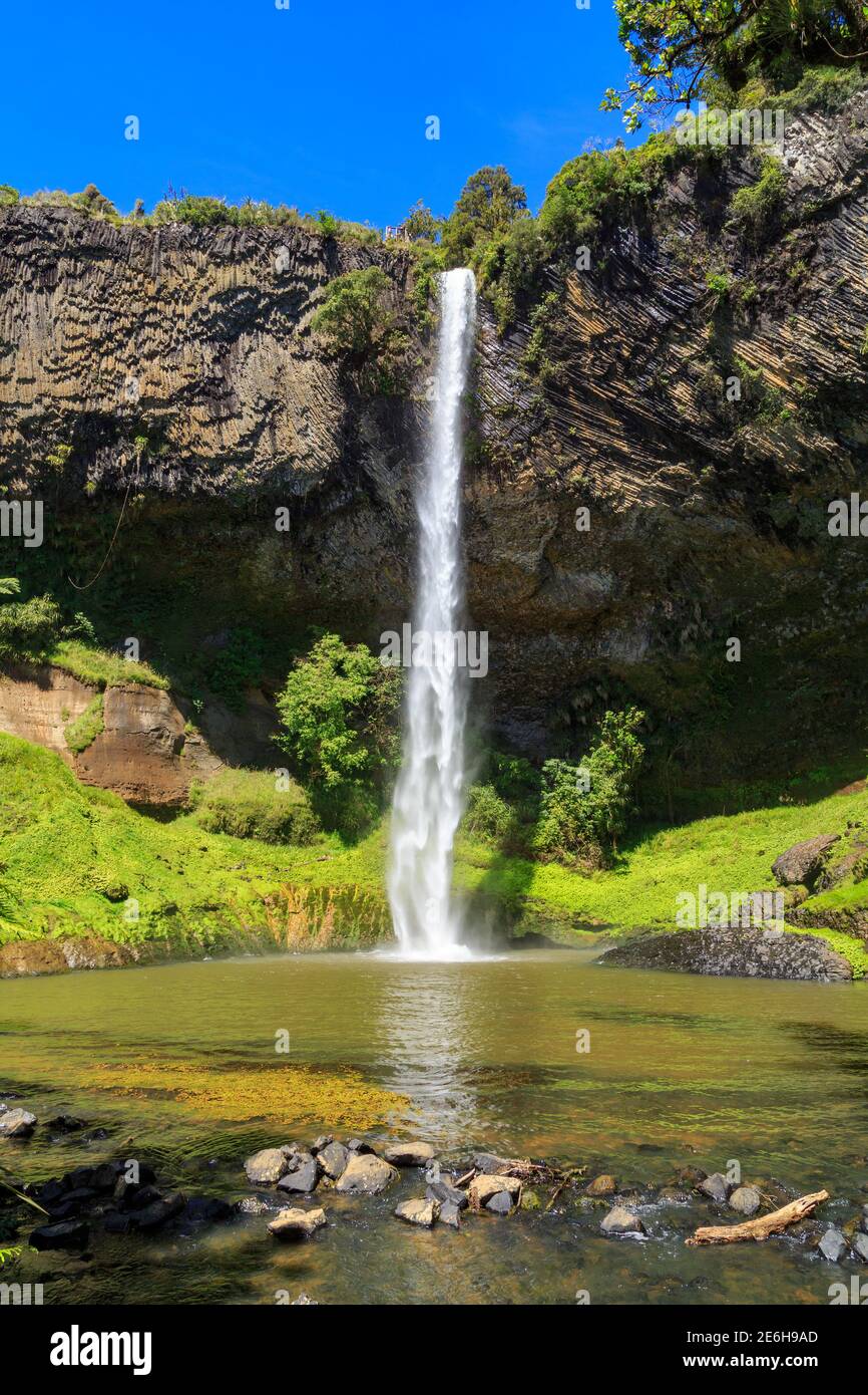 Bridal Veil Falls, ein spektakulärer 180 Meter hoher Wasserfall in der Waikato Region, Neuseeland Stockfoto