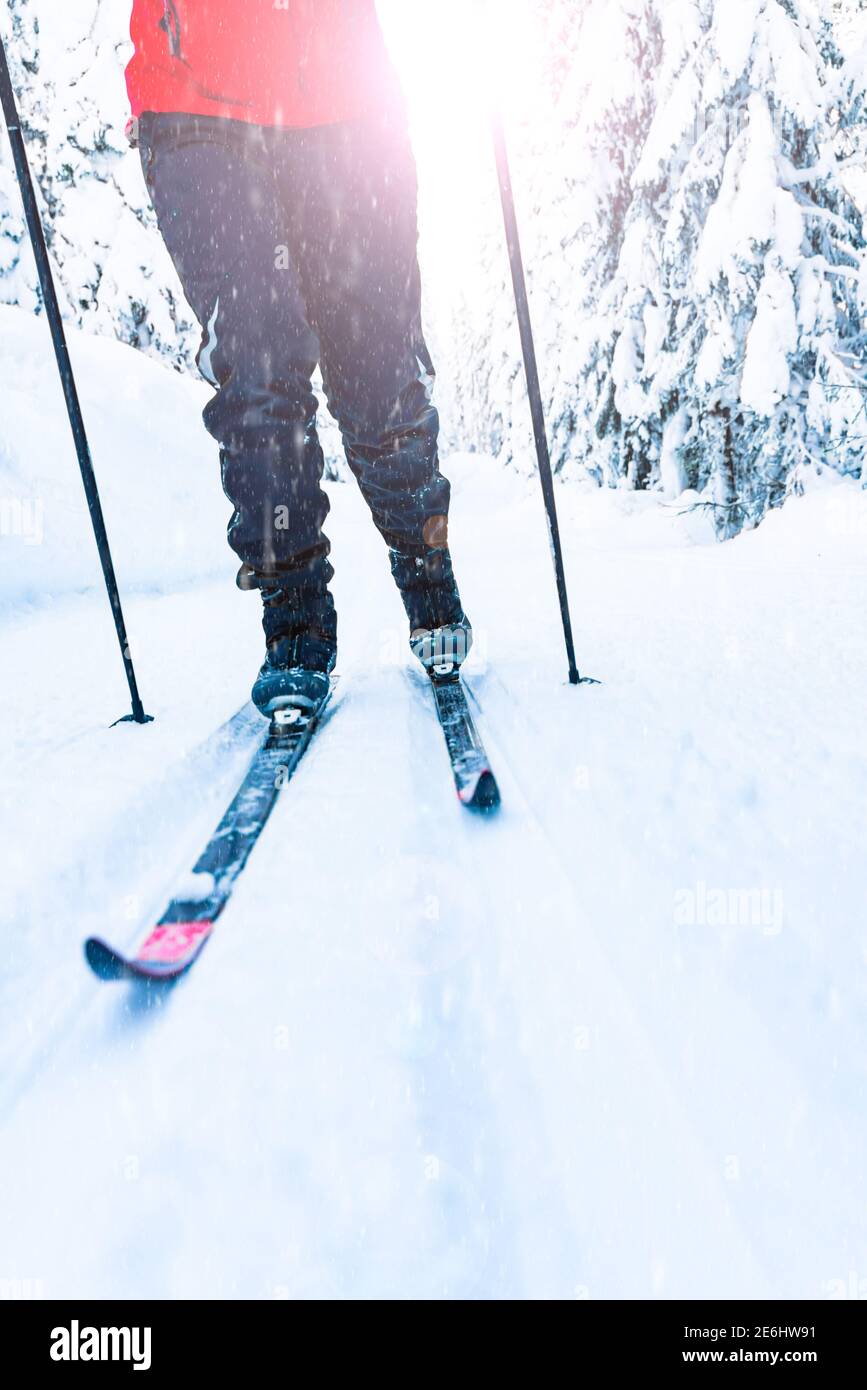 Skilanglauf. Person in Bewegung durch eine Skipiste. Stockfoto
