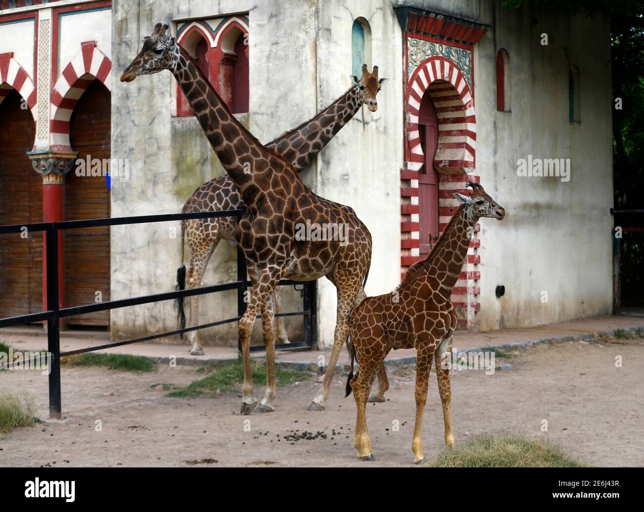 Kumpel L Stockfotos Und Bilder Kaufen Alamy