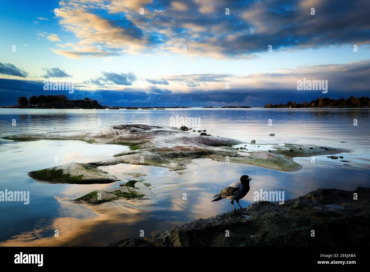 Schöne Wolken über dem Meer kurz nach Sonnenaufgang an einem schönen Morgen des 13. Oktober 2020, mit einem Hooded Crow am Ufer. Stockfoto