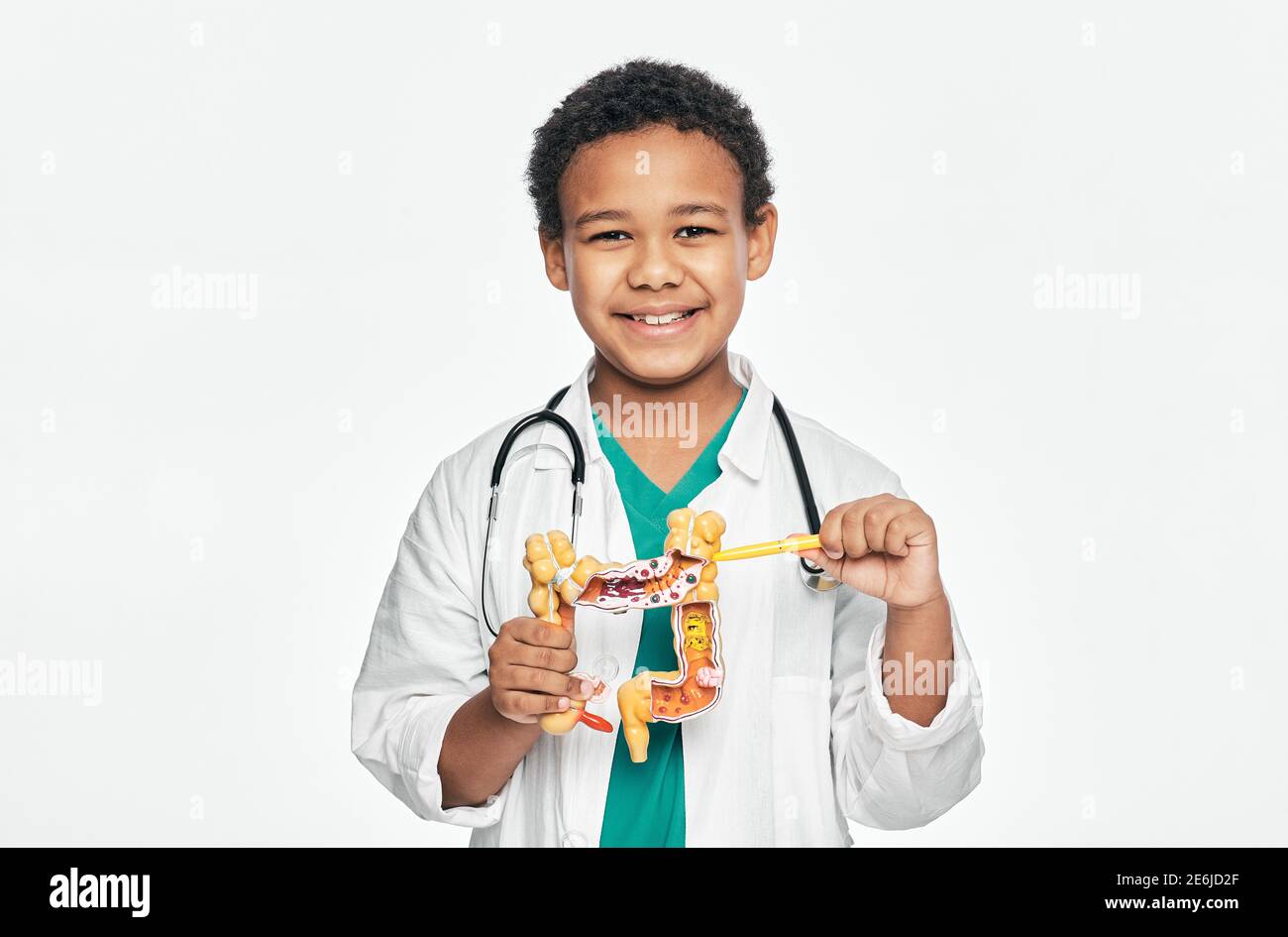 Afroamerikanisches Kind während des Lernens der menschlichen Anatomie, hält ein anatomisches Darmmodell, um Körperstruktur zu studieren. Isoliert auf Weiß Stockfoto