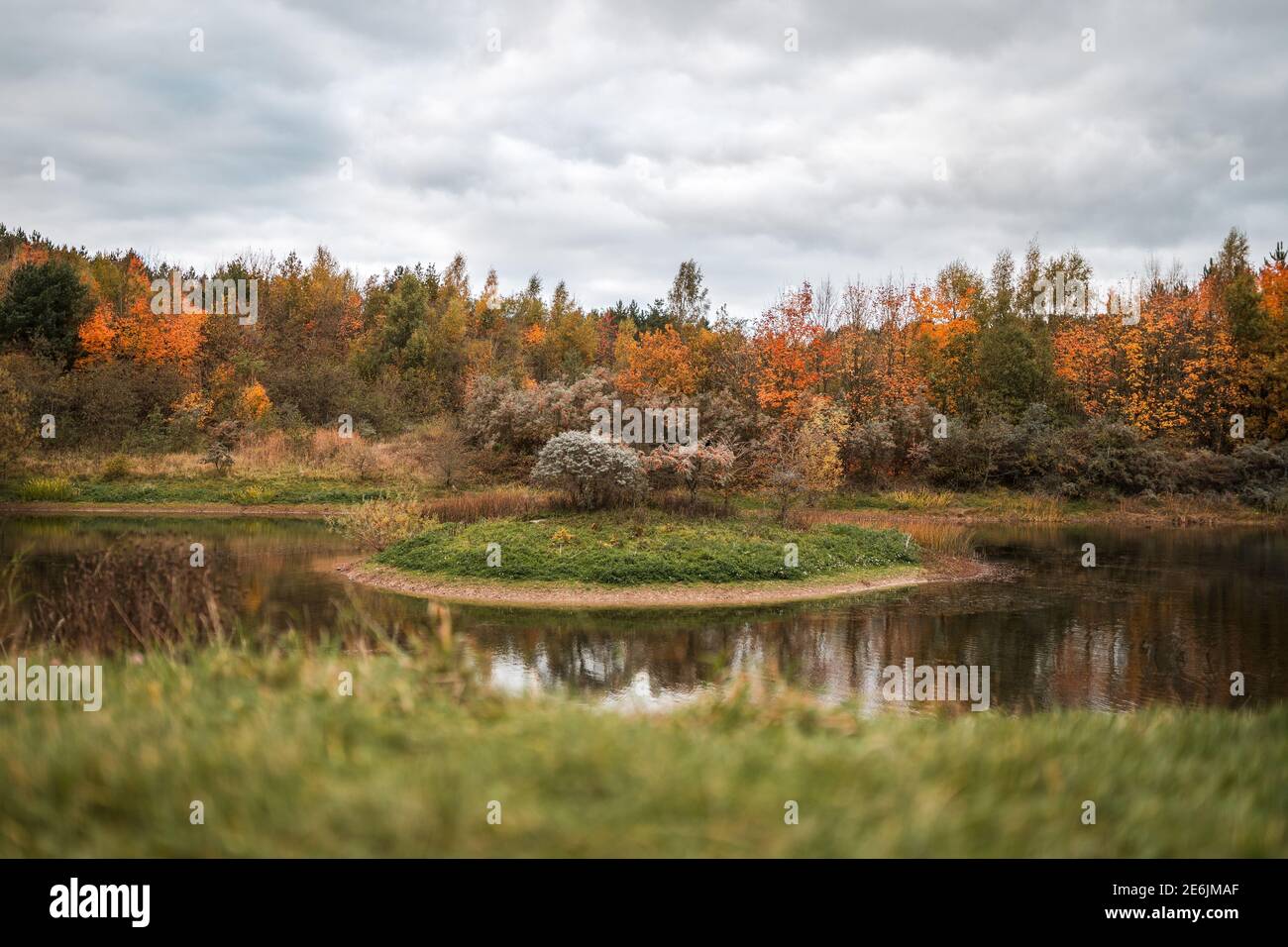 Herbstszene in einem Naturschutzgebiet mit einem Teich und Insel in der Mitte des Sees wunderschöne orange Farben Blätter Fallen im Herbst Wildtiere Reflexionen Stockfoto