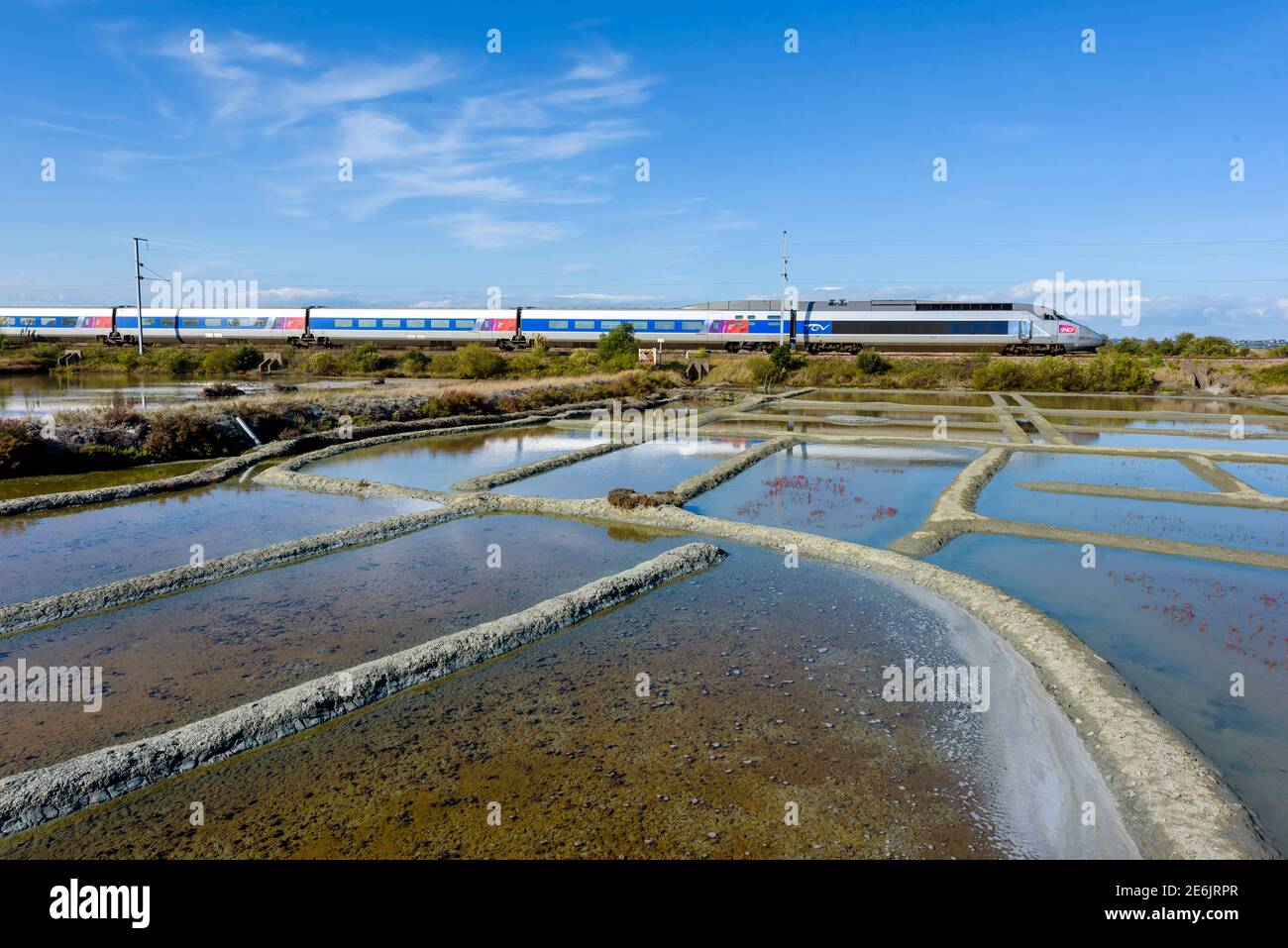 TGV-Zug durch die Salzwiesen von Guérande. Le Croisic . Stockfoto