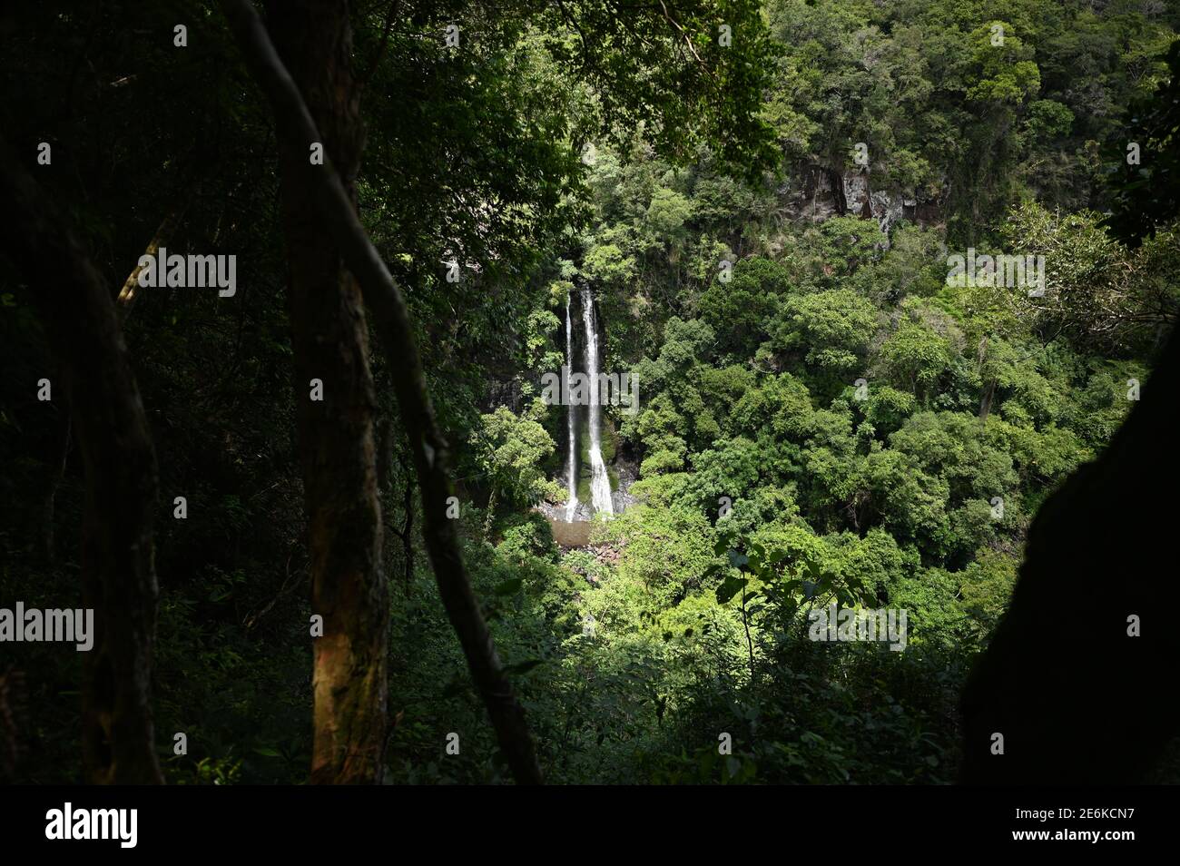 Wasserfall im Dschungel Stockfoto