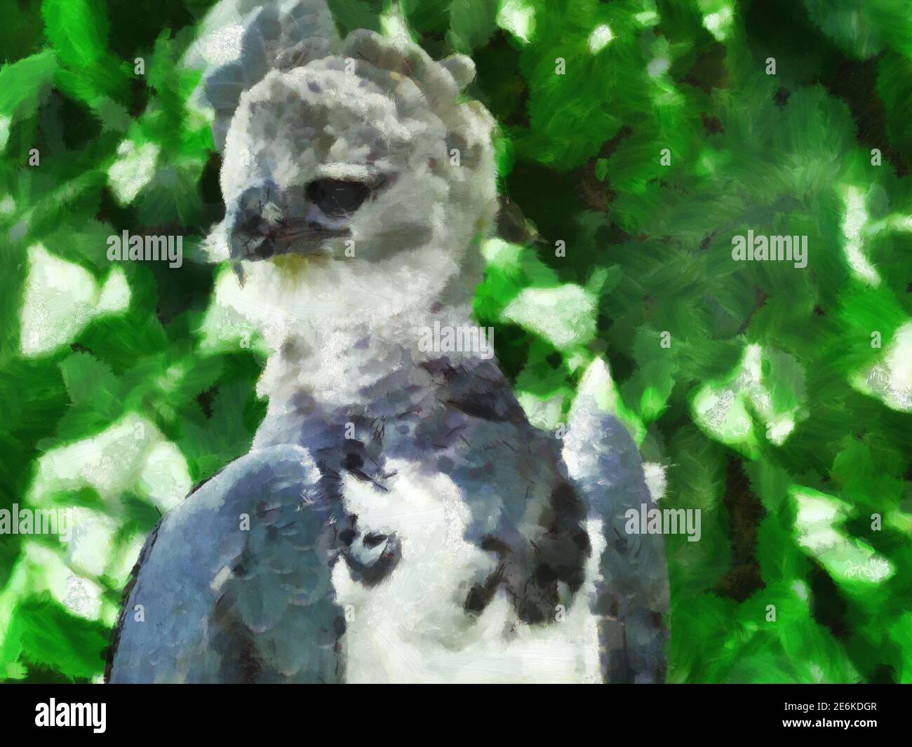 Harpyie Adler auf einem Hintergrund von grünem Laub. Künstlerische Arbeit zum Thema Tiere Stockfoto