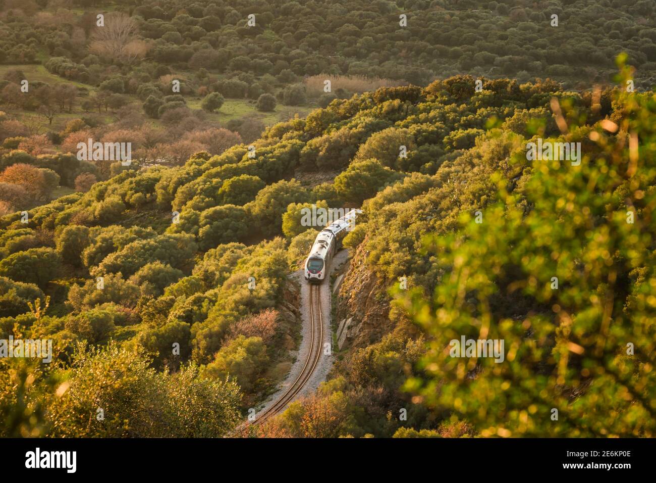 Ein Zug fährt durch einen Schnitt zwischen dem Maquis in Die Abendsonne bei Belgodere in der balagne Korsika Stockfoto