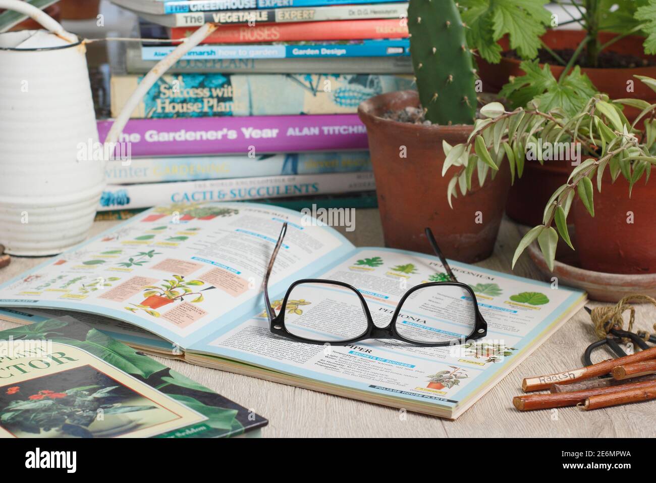 Gartenbücher und Lesebrillen in einem englischen Zuhause. VEREINIGTES KÖNIGREICH Stockfoto