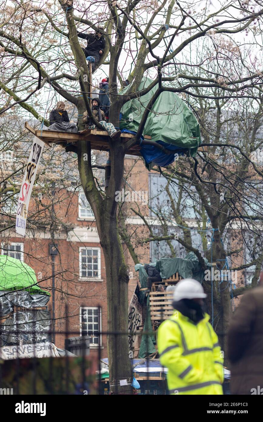 Räumung von Stop HS2-Demonstranten vom Campingplatz in den Euston Square Gardens, London, 27. Januar 2021, Blick auf Demonstranten in einem Baumhaus. Stockfoto