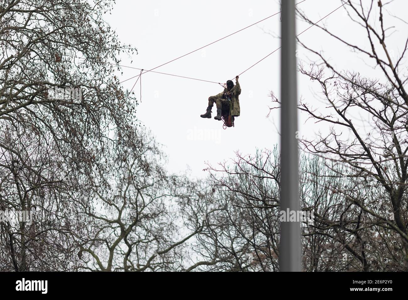 Räumung von Stop HS2 Demonstranten vom Campingplatz in Euston Square Gardens, London, 27. Januar 2021. Ein Protestler hängt an einem Seil zwischen Bäumen. Stockfoto