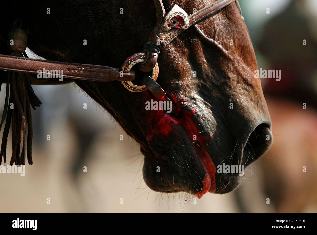 Chapandaz Stockfotos Und Bilder Kaufen Alamy