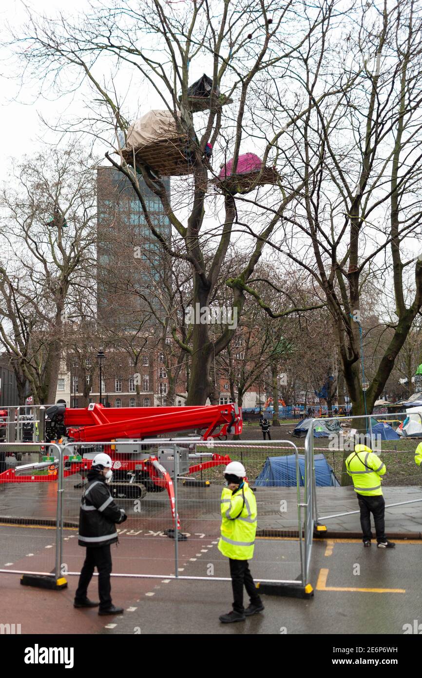 Räumung von Stop HS2 Demonstranten vom Campingplatz in Euston Square Gardens, London, 27. Januar 2021. Unter einem Baum wird ein Kirschpflücker aufgestellt. Stockfoto