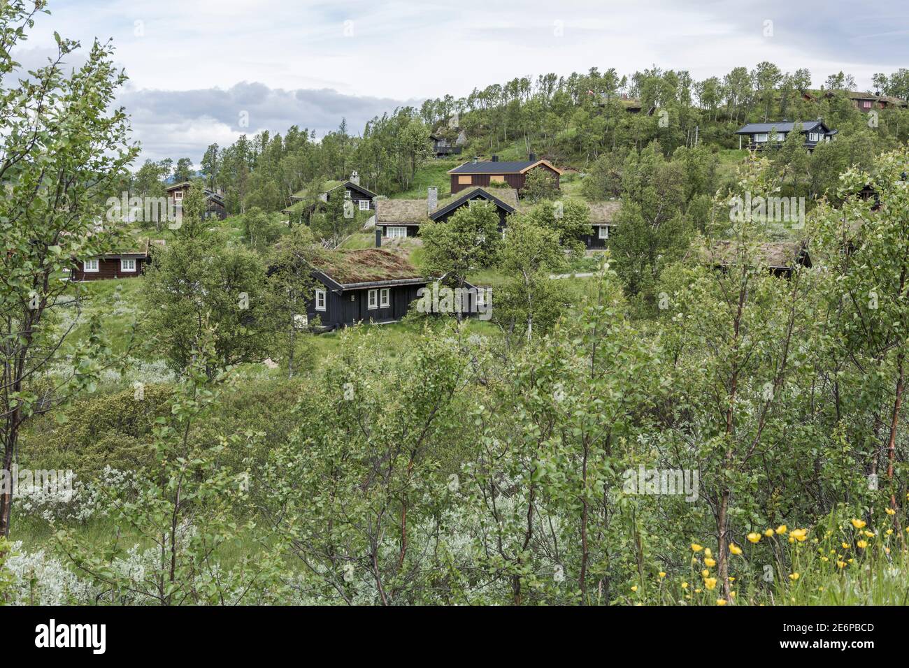 Holzhütten mit moosbedeckten Dächern, eingebettet zwischen den Bäumen, Sträuchern und üppiger Vegetation der Hardangervidda-Landschaft Norwegens Stockfoto