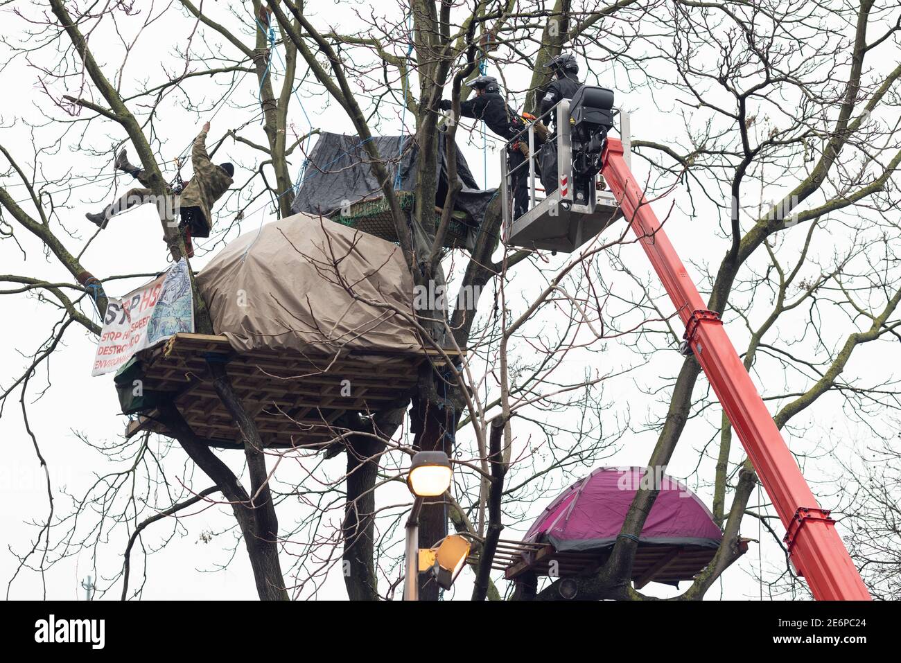 Räumung von Stop HS2 Demonstranten vom Campingplatz in Euston Square Gardens, London, 27. Januar 2021. Ein Kirschpflücker erreicht die Zelte des Protestlers im Baum. Stockfoto