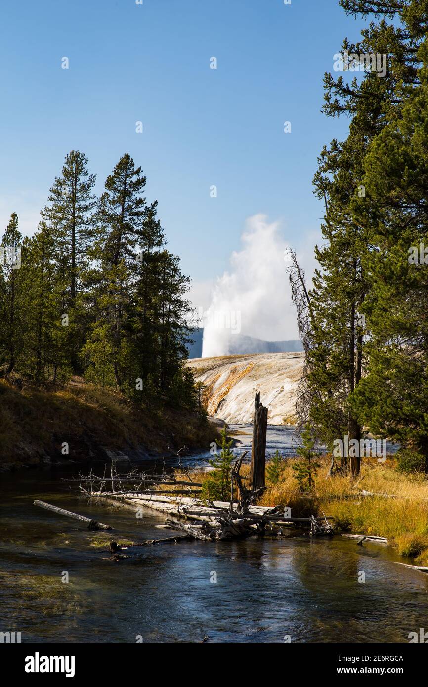 Geysire sind heiße Quellen mit engen Räumen in ihren Rohrleitungen, in der Regel in der Nähe der Oberfläche. Wenn das Wasser aufsteigt, bildet sich Dampf. Enorme Mengen an Dampf Stockfoto Geysire sind heiße Quellen mit engen Räumen in ihren Rohrleitungen, in der Regel in der Nähe der Oberfläche. Wenn das Wasser aufsteigt, bildet sich Dampf. Enorme Mengen an Dampf Stockfoto